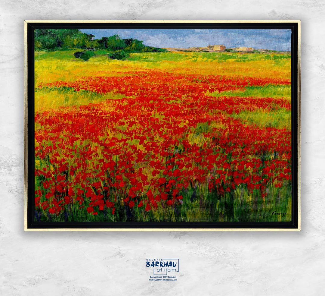 "Amapolas IV" | Jesús P. Camargo
