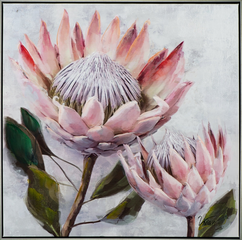 Hübsche Protea
