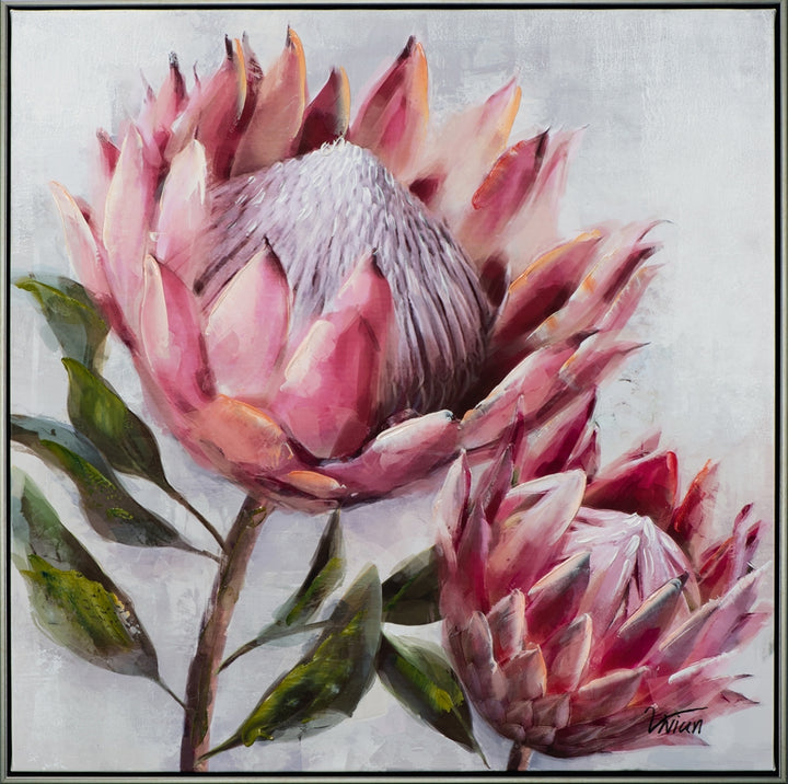 Hübsche Protea