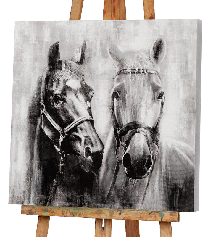 Pferde in schwarz weiß