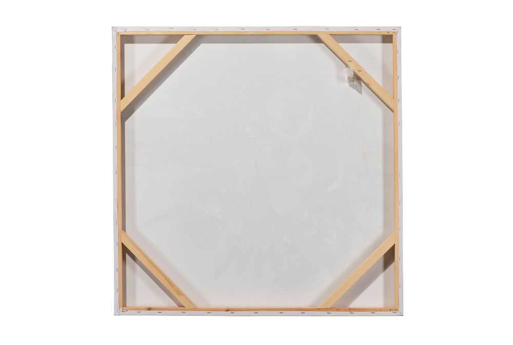 Pferde in schwarz weiß