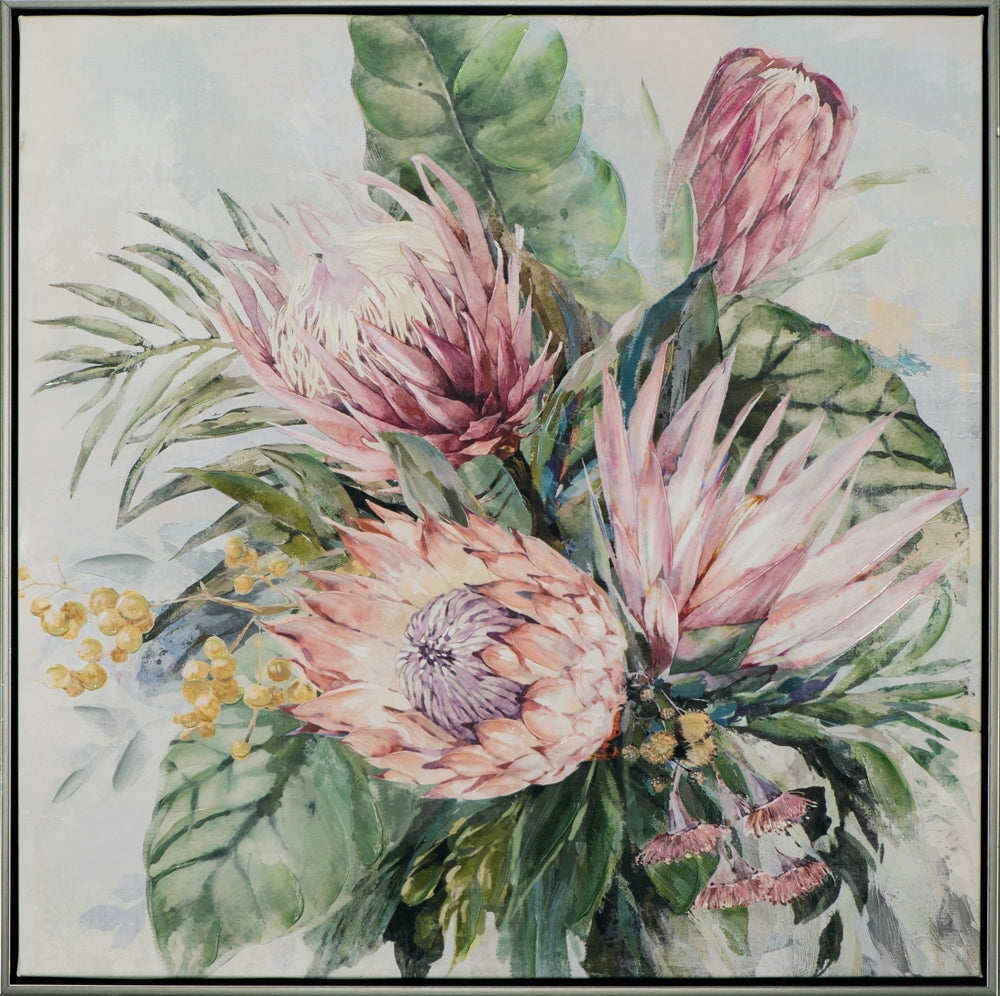 Rosafarbene Protea-Blüten
