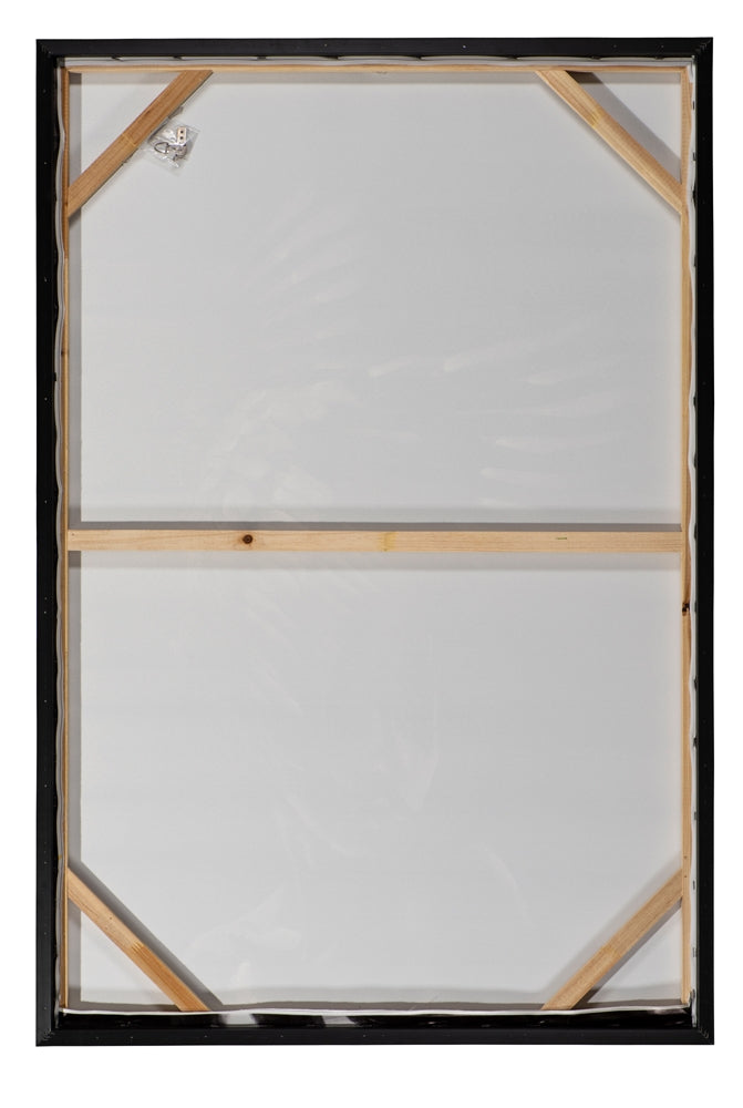 Farbenprächtige Papageien