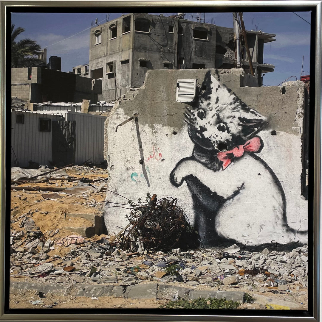 „Cat in Gaza“ | Banksy