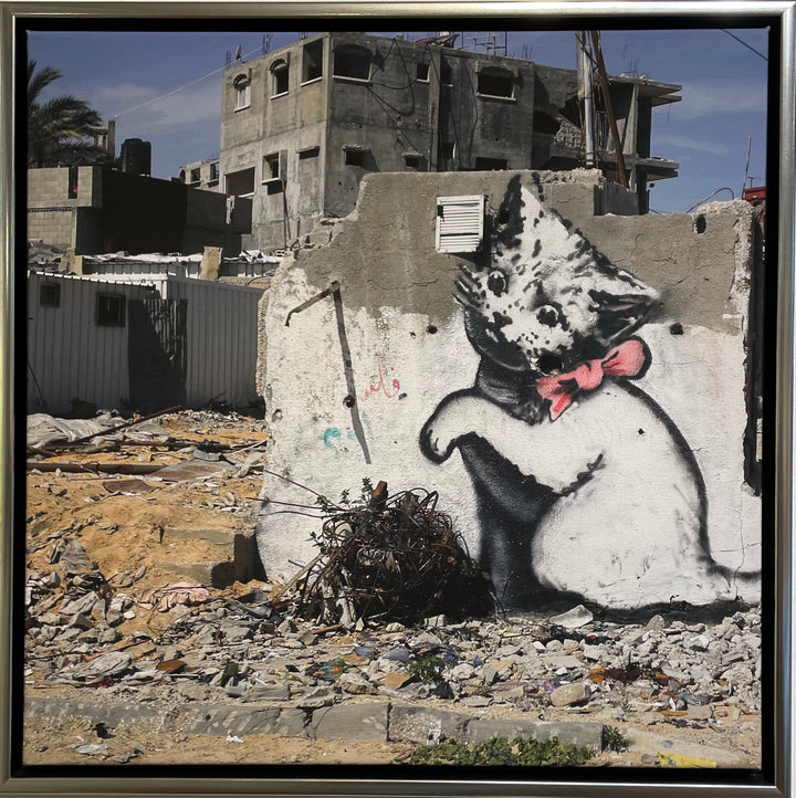 „Cat in Gaza“ | Banksy