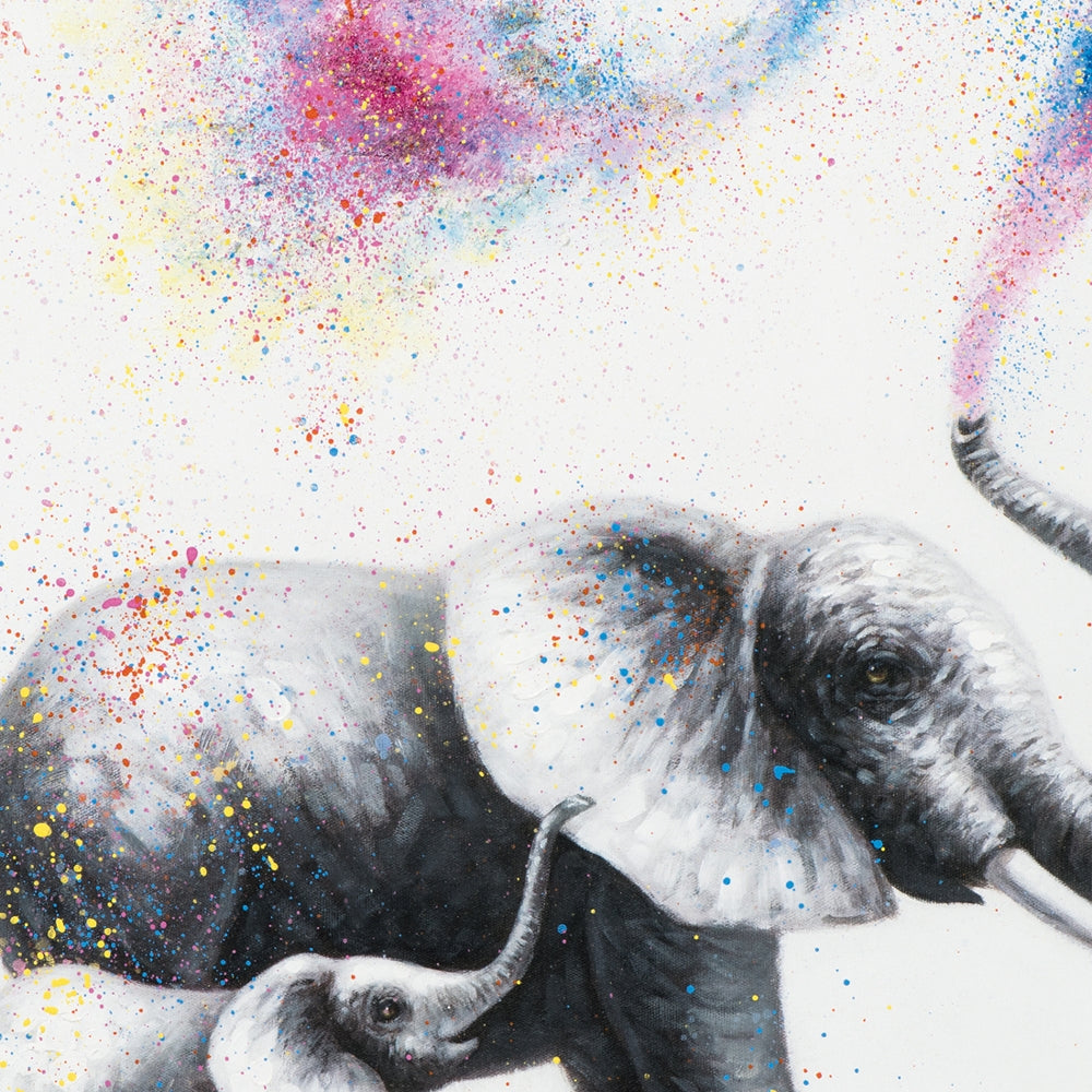 Elefanten in Konfetti
