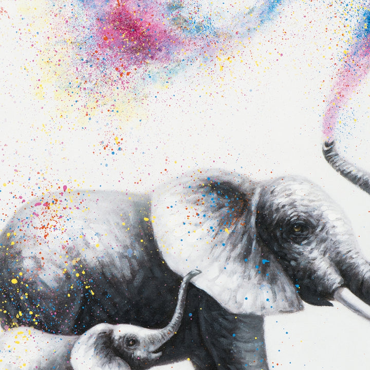 Elefanten in Konfetti