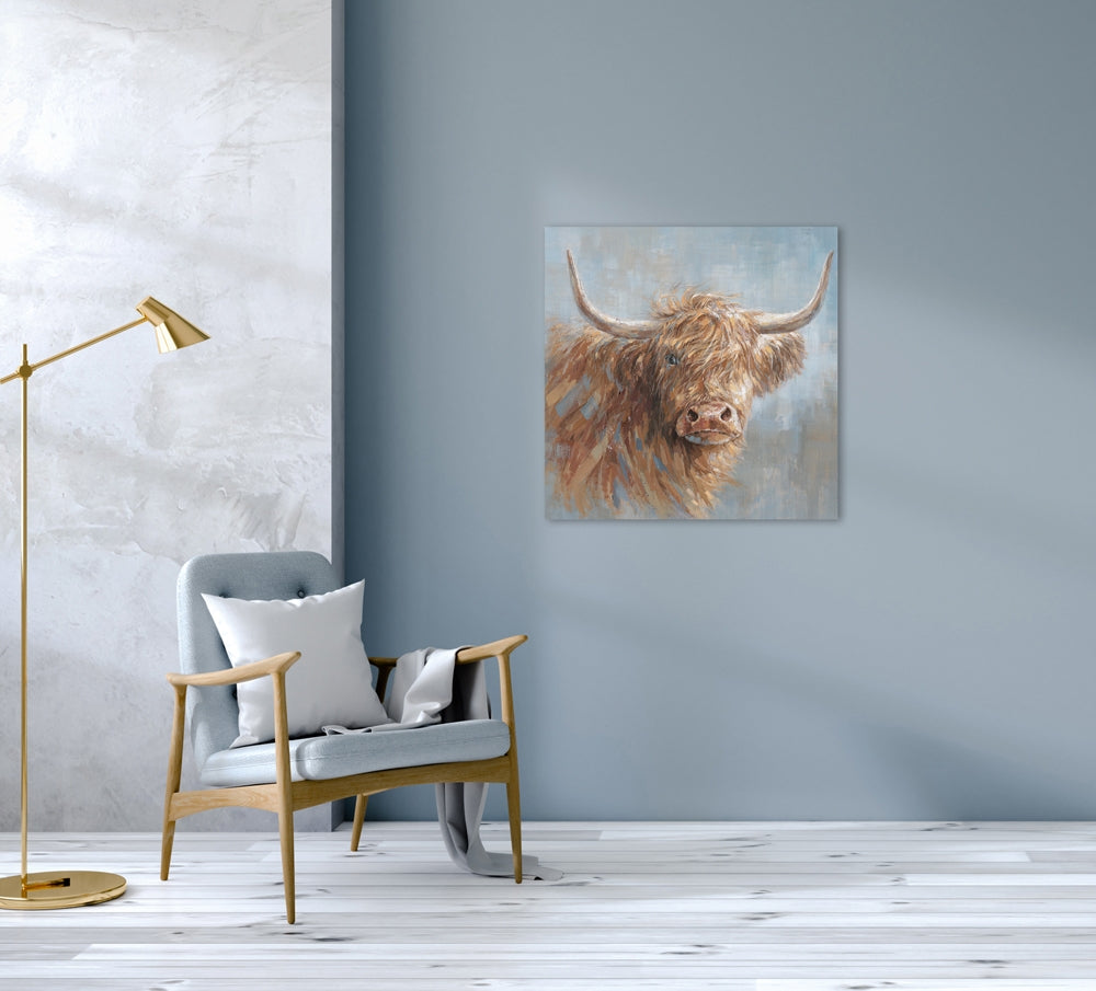 Charmantes Hochlandrind