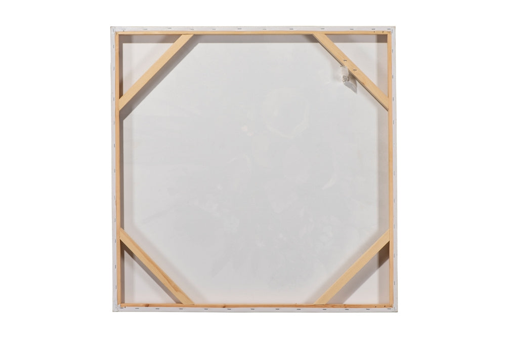 Charmantes Hochlandrind