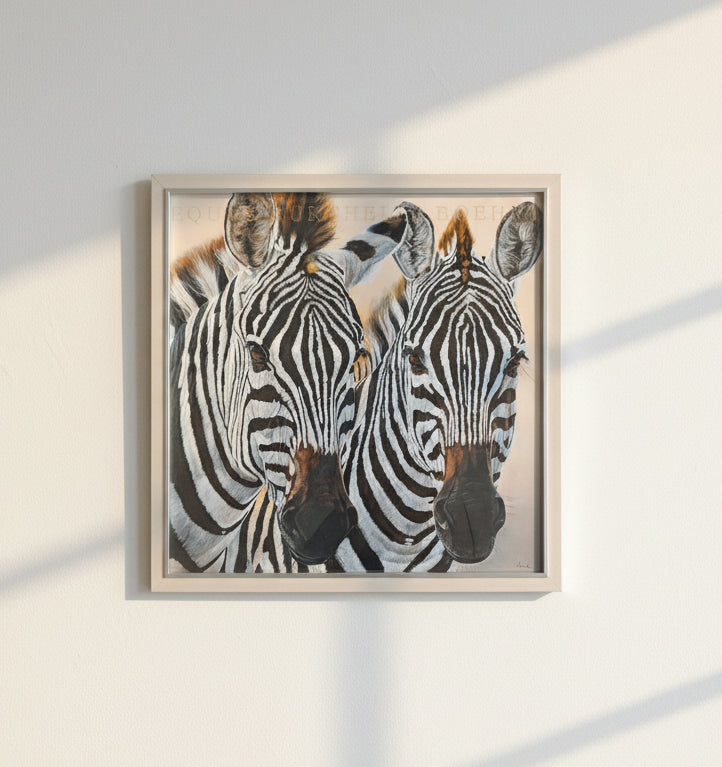 Zebras l D. Beck
