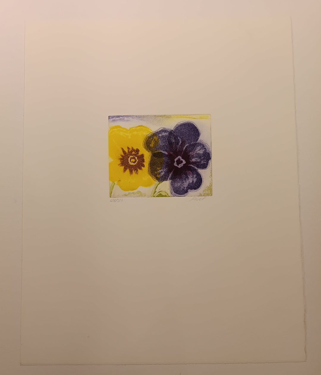 Untiteled l Fiset