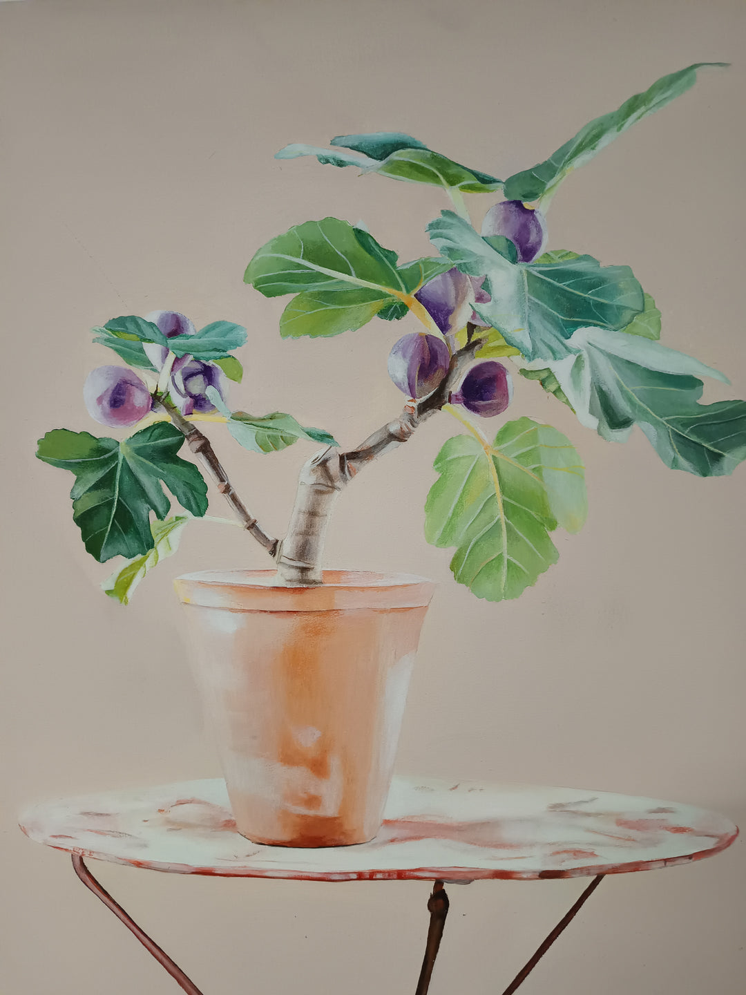 Feigenbaum auf Tisch in rosa l B. Hoffmann