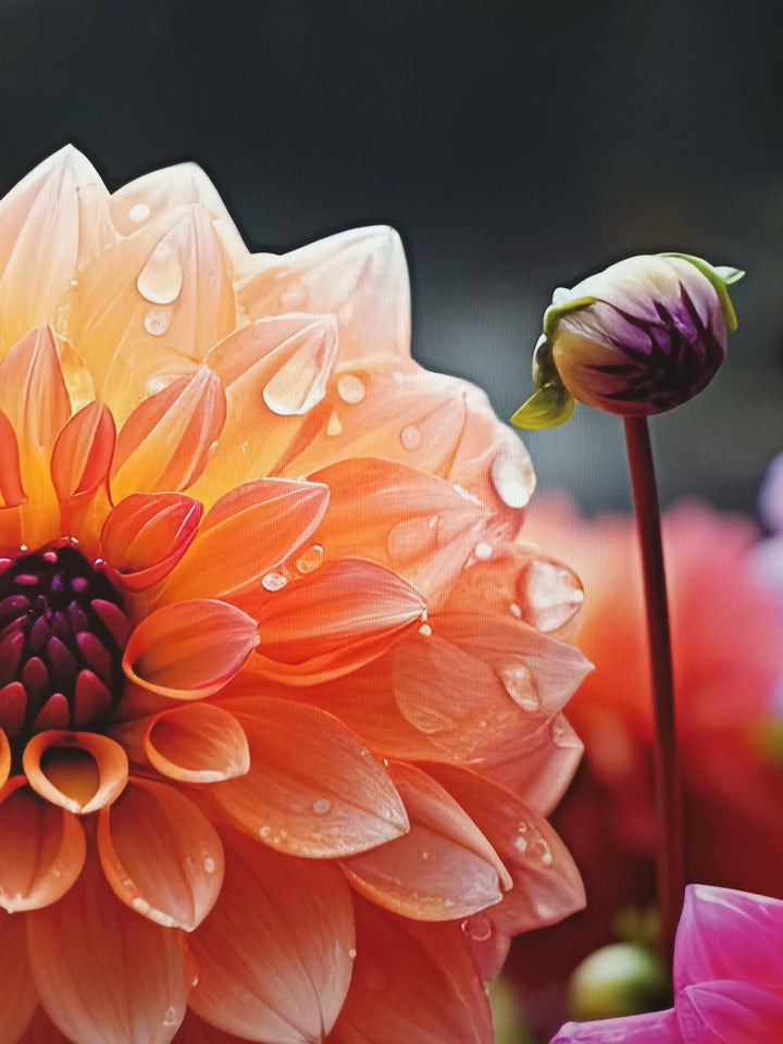 Blumen in lila und orange