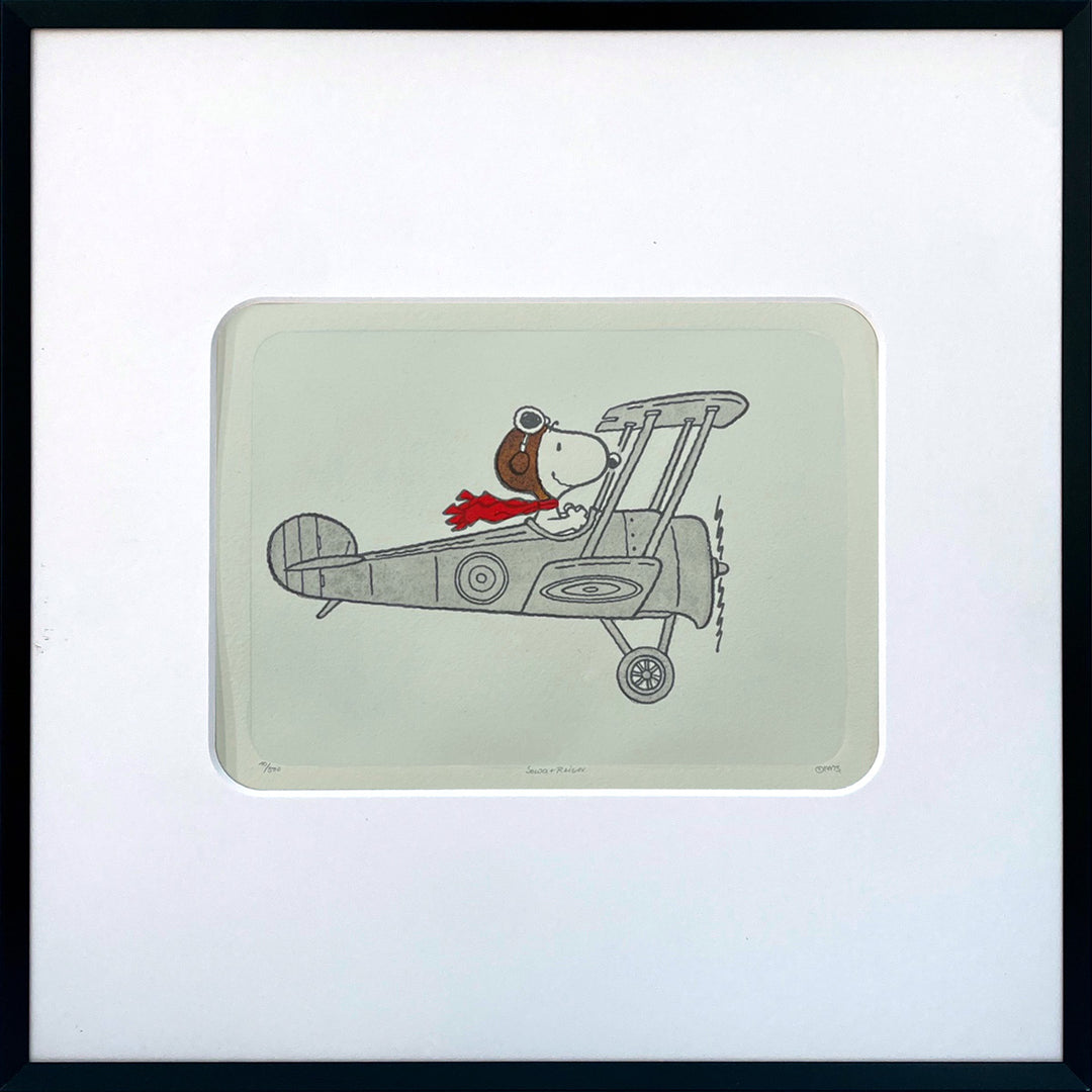 Flying High | The Peanuts