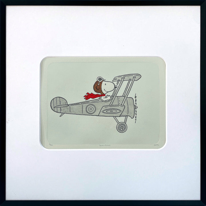 Flying High | The Peanuts