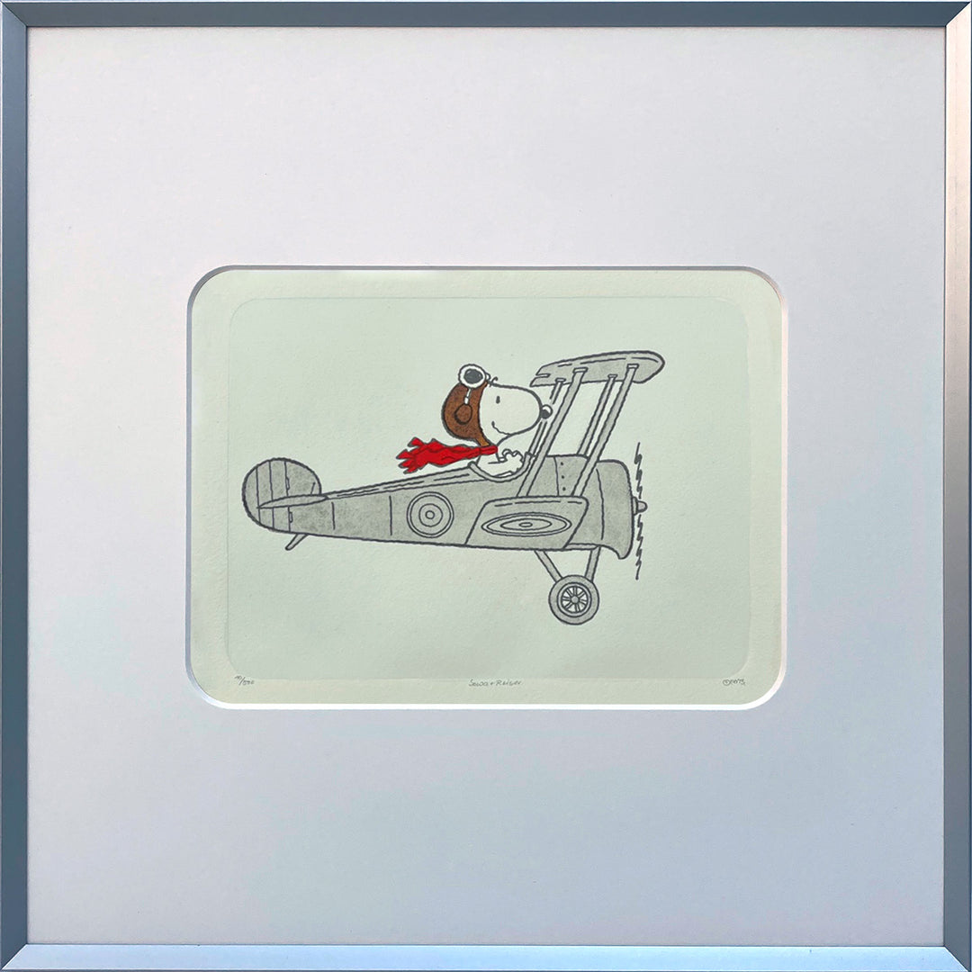 Flying High | The Peanuts
