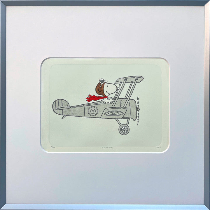 Flying High | The Peanuts