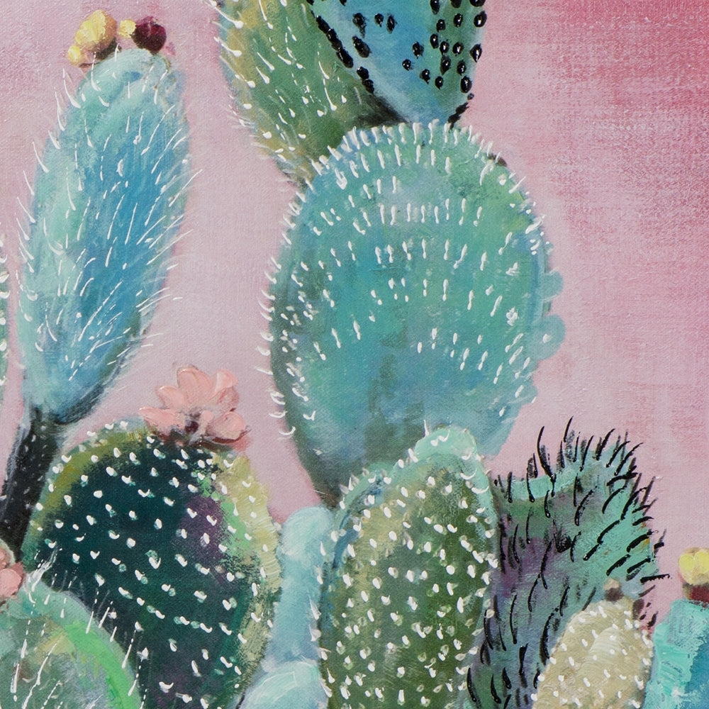 Grüne Kakteen vor rosa Hintergrund