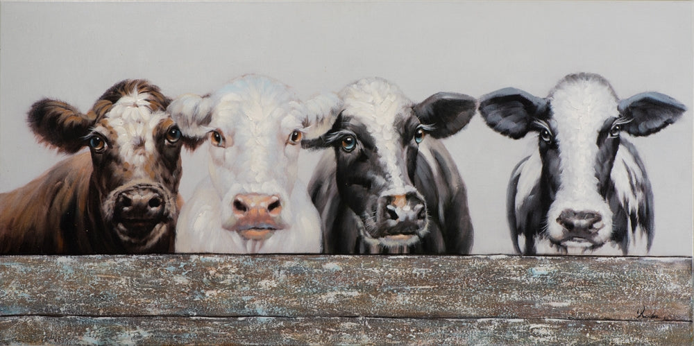 Kühe hinter dem Zaun