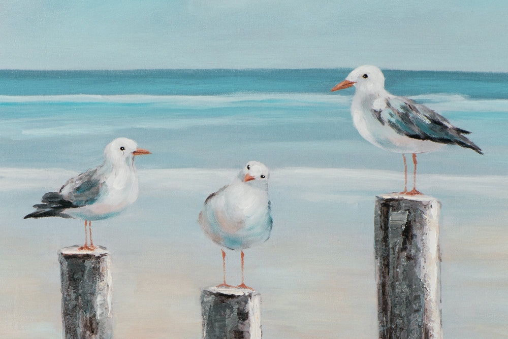 Möwen an der See
