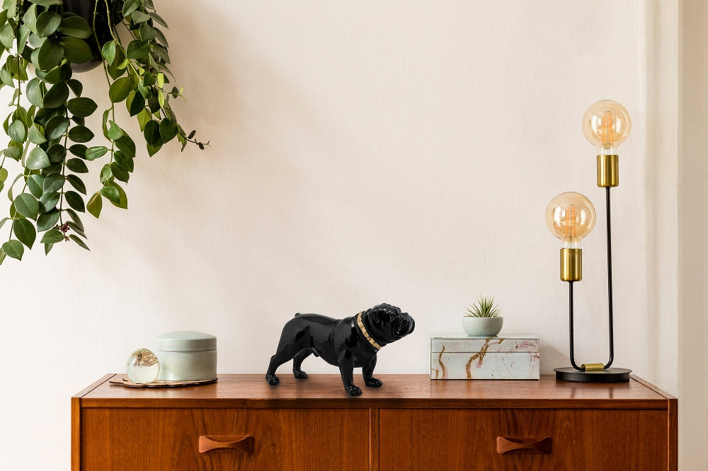 Bulldogge mit goldenem Halsband