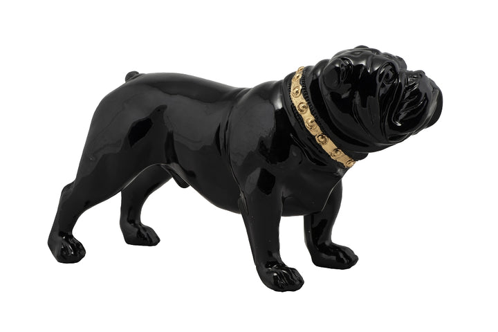 Bulldogge mit goldenem Halsband