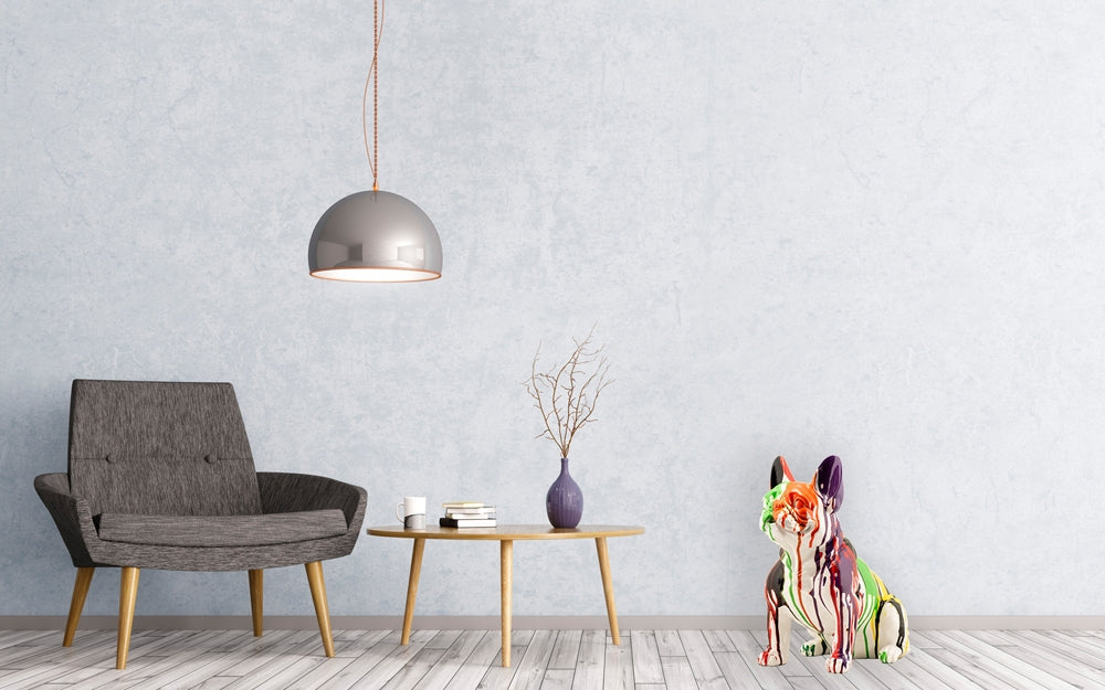 Hektor, französische Bulldogge