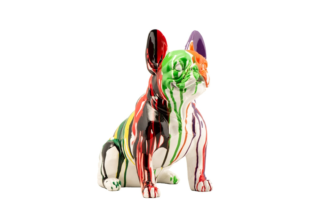 Hektor, französische Bulldogge