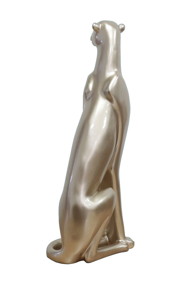 Eleganter Gepard sitzend