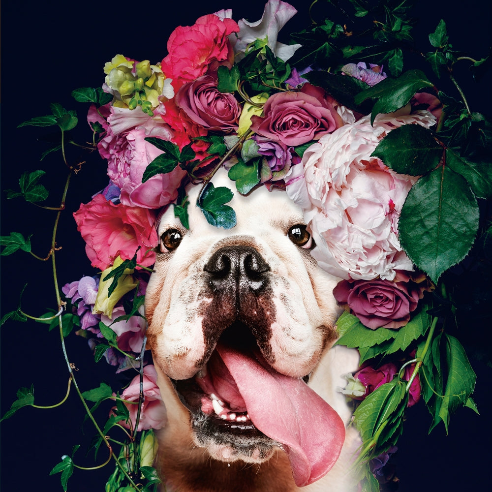 Hund mit buntem Blumenkranz | Digitaldruck auf Sicherheitsglas