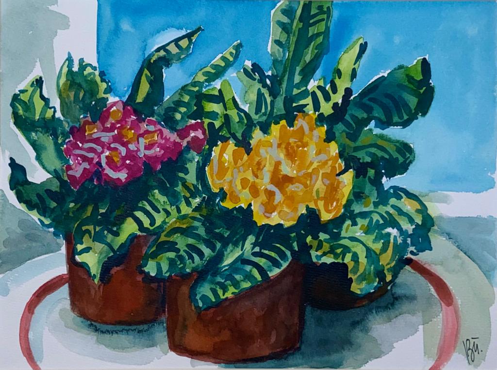 "Stillleben" | Paula Baumann
