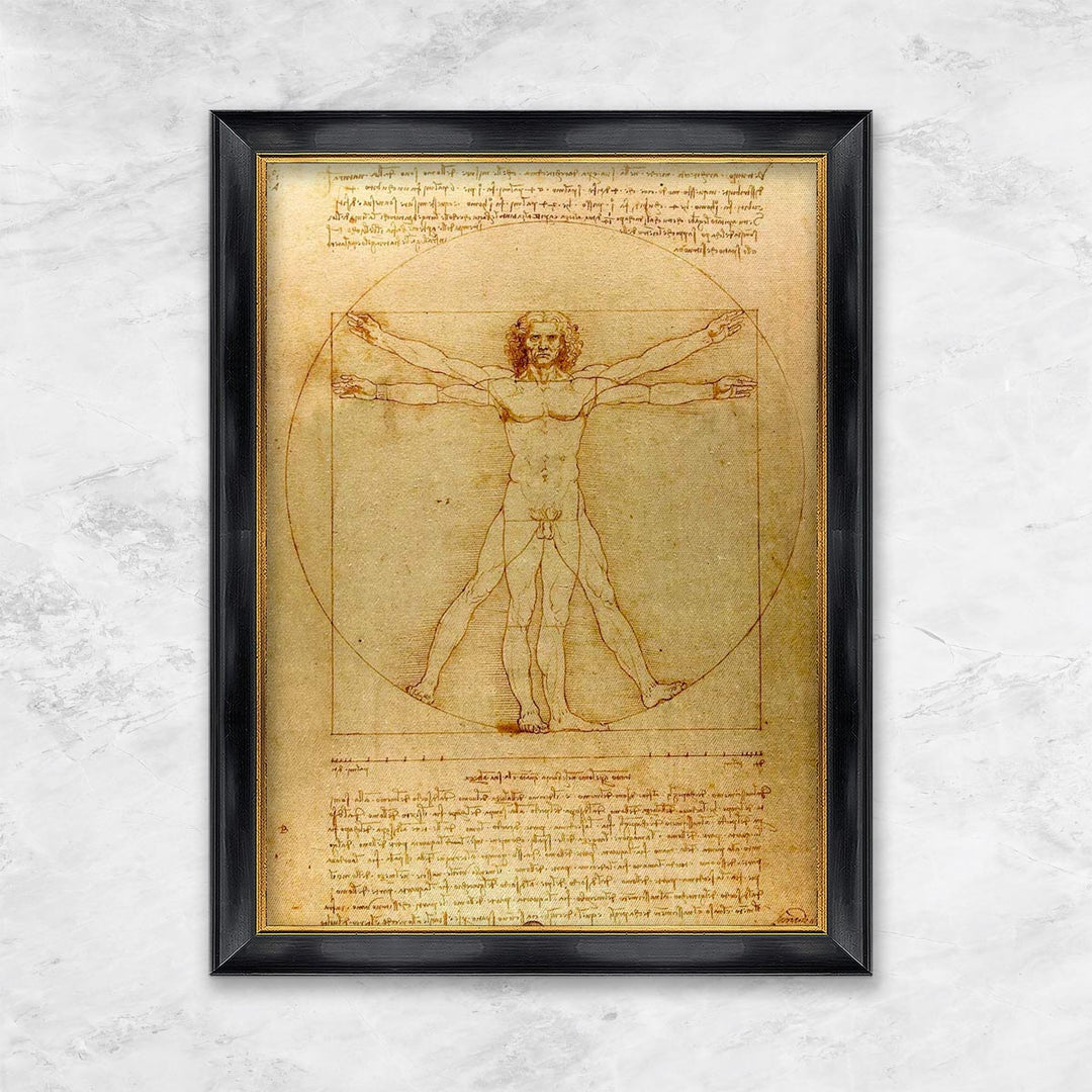 "Vitruvmann (Proportionszeichnung)" | Leonardo da Vinci