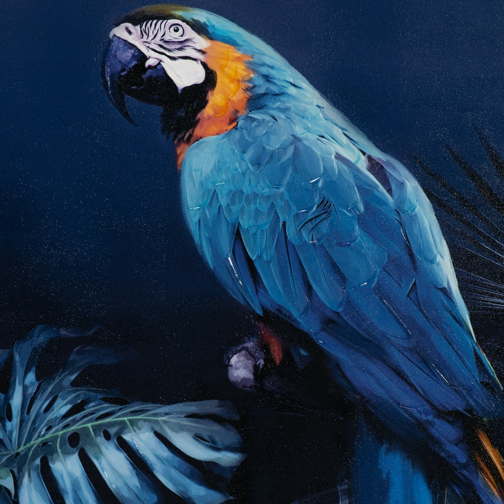 Papagei in blau