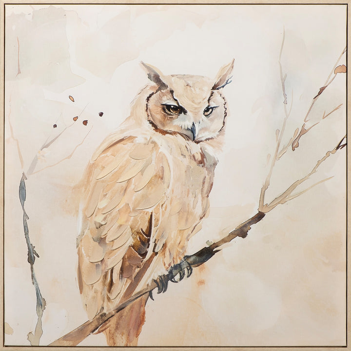 Natural Owl