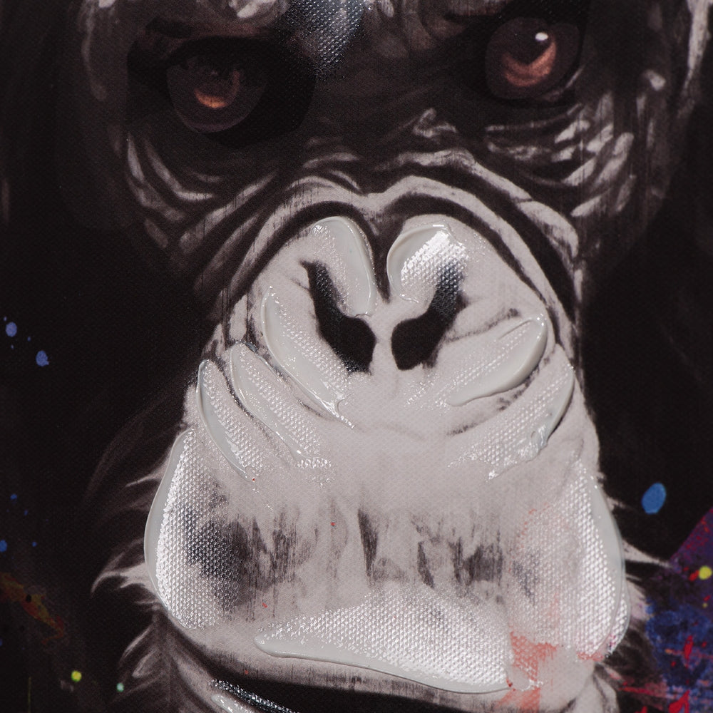 Boxing Monkey