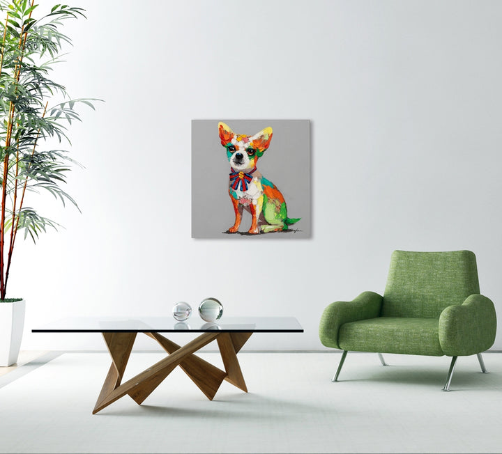 Bunter Chihuahua mit Schleife