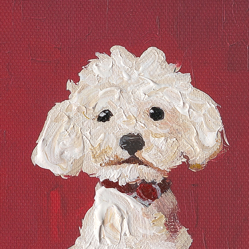 White Dog