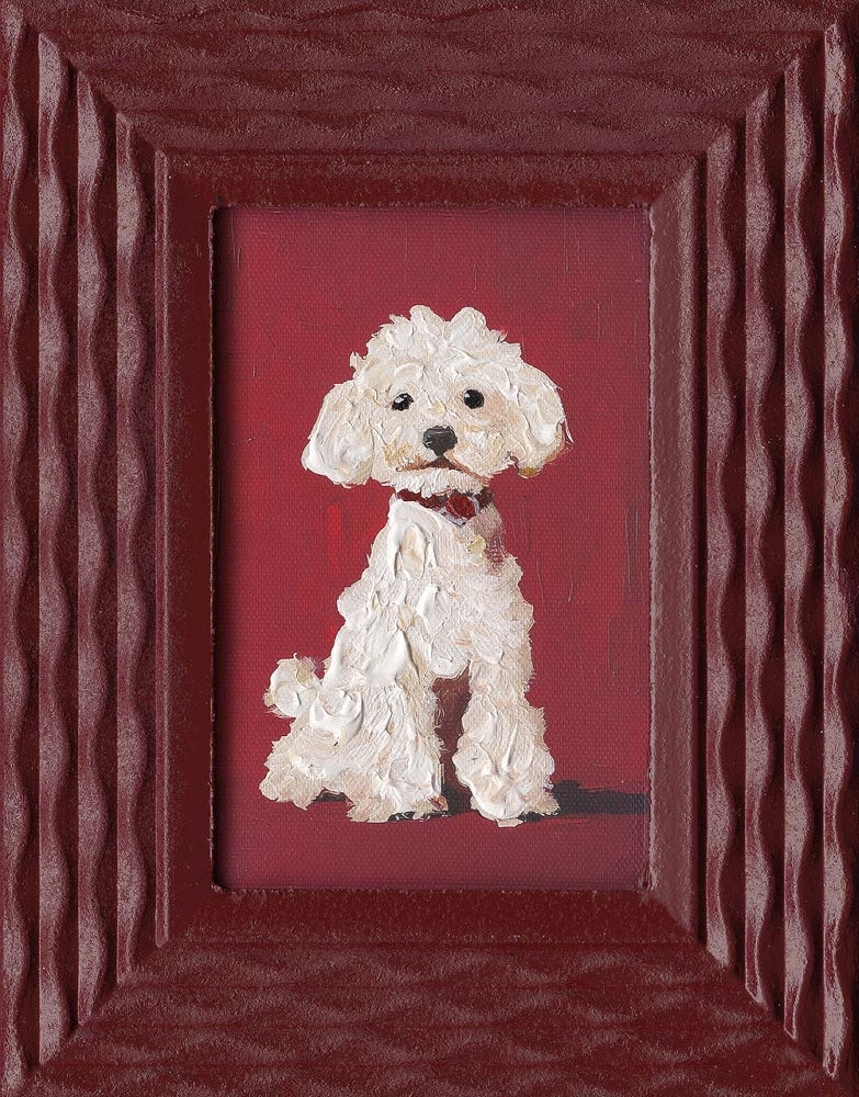 White Dog