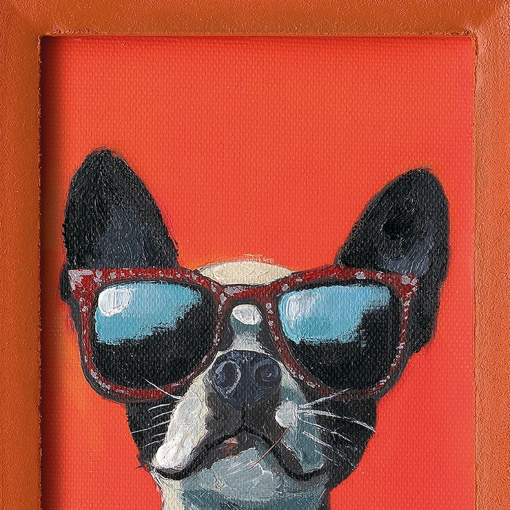Cool Bully