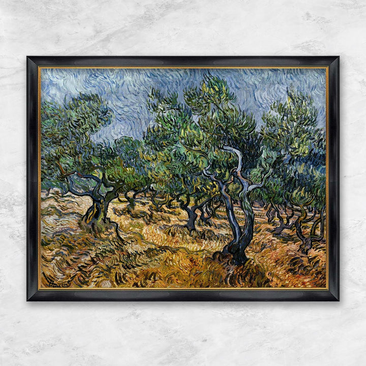 "Olivenhain" | Vincent van Gogh schwarzer Rahmen