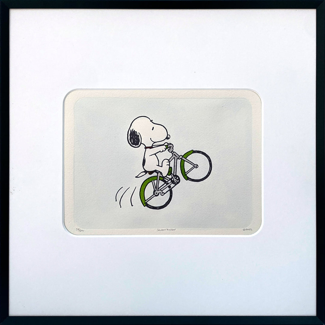 Fahrradfahrer | The Peanuts