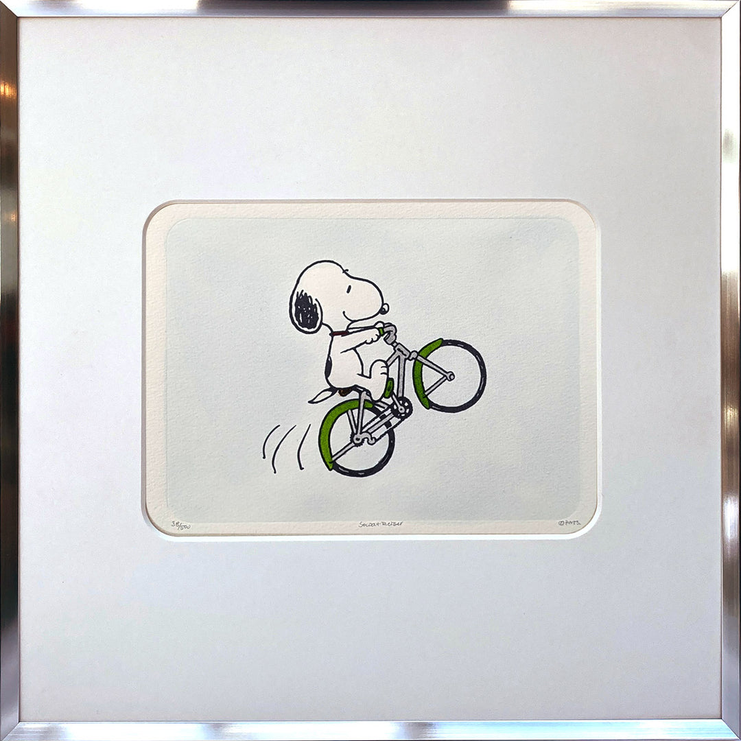 Fahrradfahrer | The Peanuts