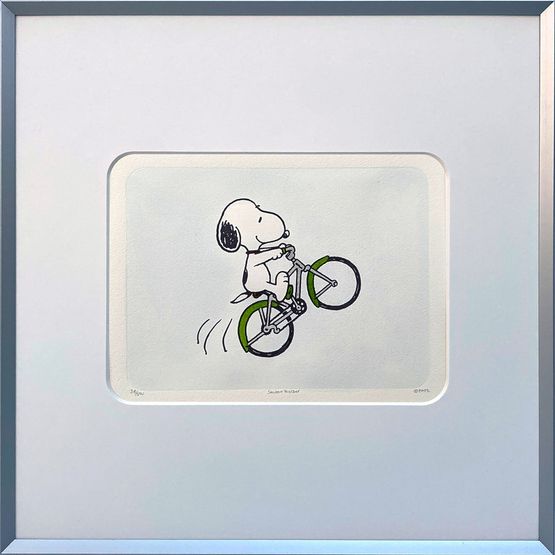 Fahrradfahrer | The Peanuts