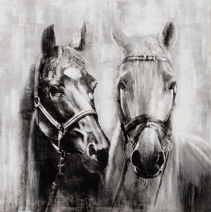 Pferde in schwarz weiß