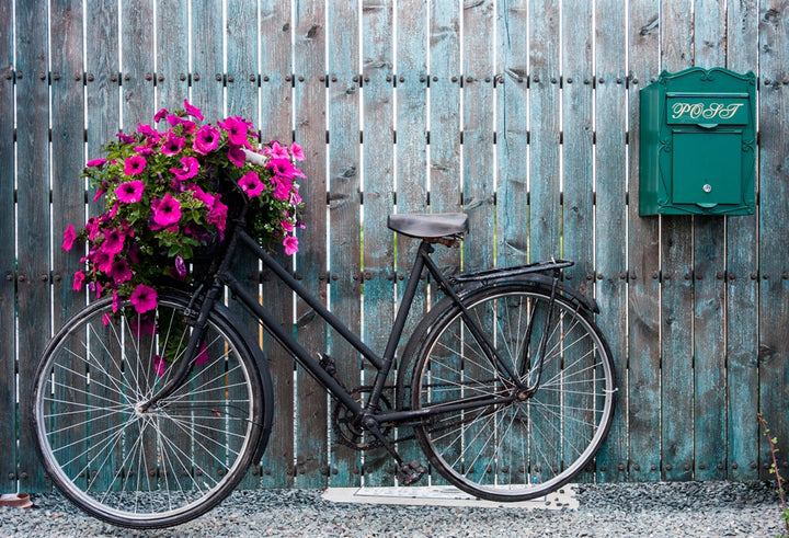 Akustikbild - Fahrrad mit Blumendeko