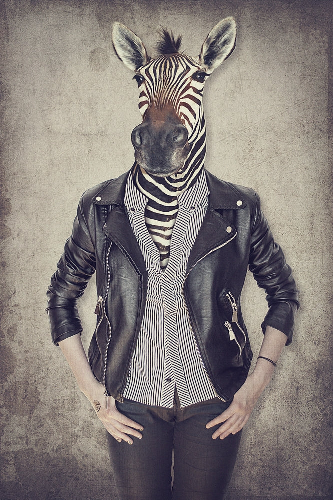 Akustikbild - Zebra Gentleman